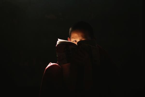 young-novice-monk
